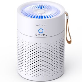 Air Purifiers For Home Bedroom H13 True HEPA Air Filter, Quiet Air Cleaner,Portable Small Air Purifier For Office, Living Room,Amazon Banned Sale (Option: White)