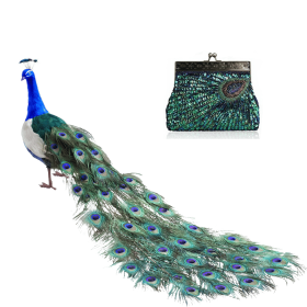 Peacock Crazy Clutch Eye-catching Ensemble In 8 Colors (Style: Brown)
